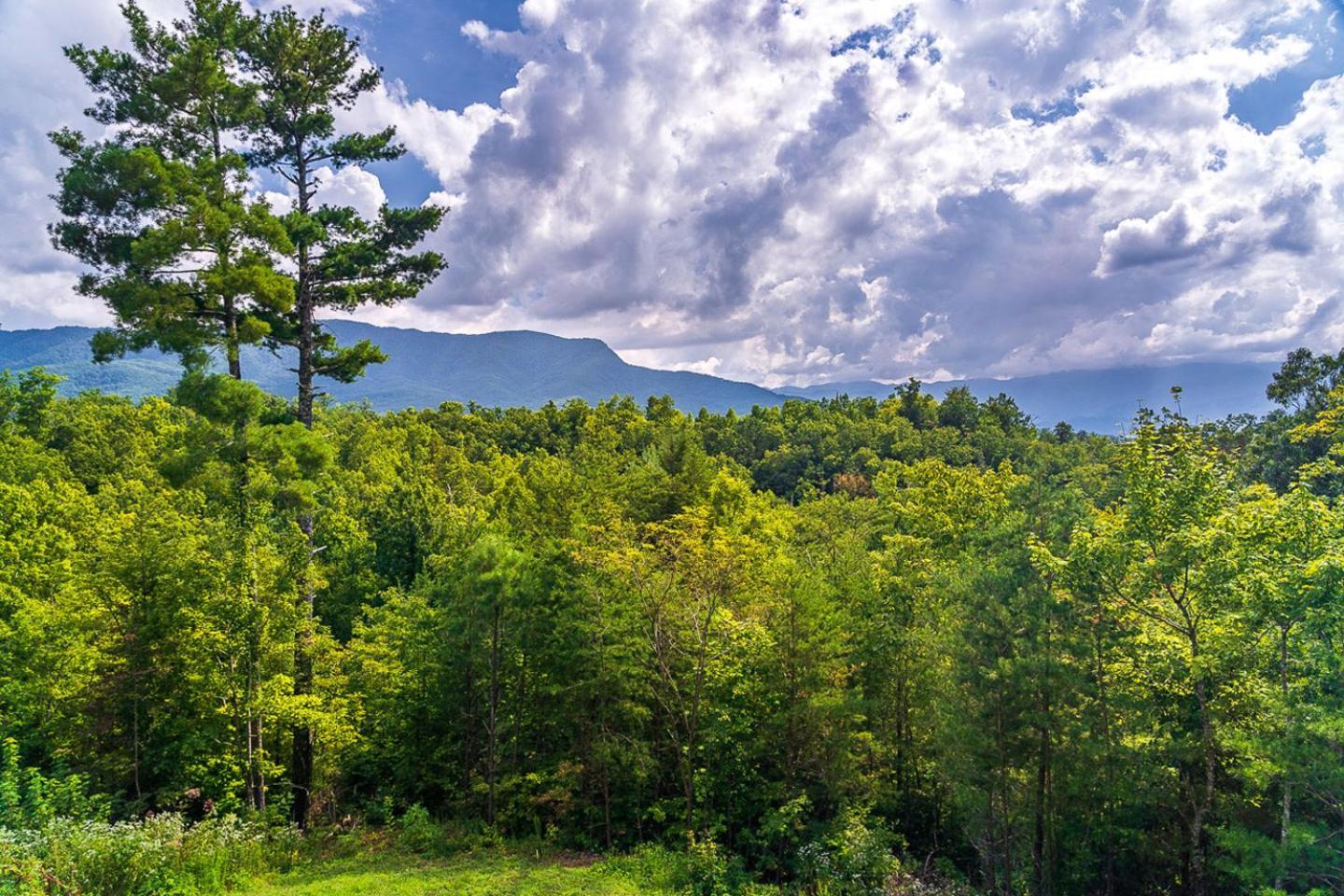 Big Bear Ridge Lodge - Breathtaking Mountain Views And Private Forest Scenes In Amazing Large Log Cabin Гатлинбург Экстерьер фото